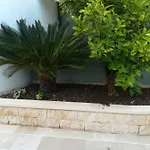 Vidos *