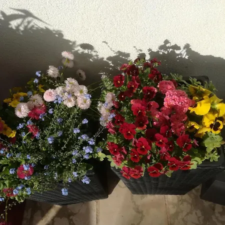 Apartman Vidos Makarska