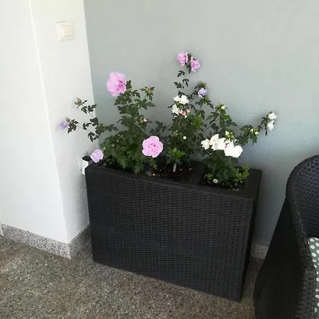 Appartamento Vidos *