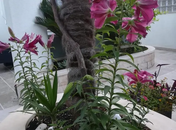 Vidos * Makarska