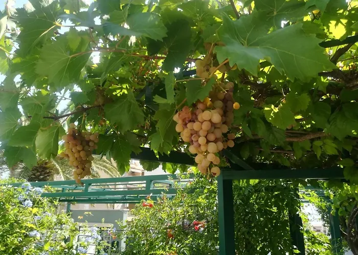 Vidos Makarska